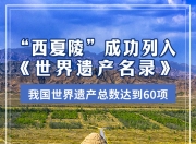 申遗成功！“西夏陵”被列入《世界遗产名录》